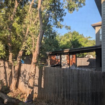 Ortiz Tree Trimming - First half of tree cut down - Tree Services Near Me