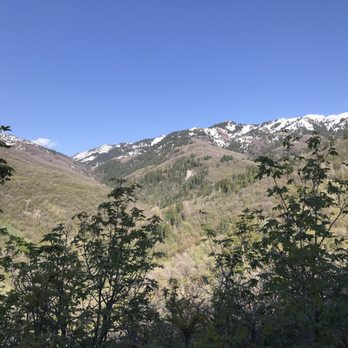 Mueller Park Trail - Elephant rock, way up there! (This is taken from about 2/3 of the way up) - Hiking Near Me - Bountiful, Utah