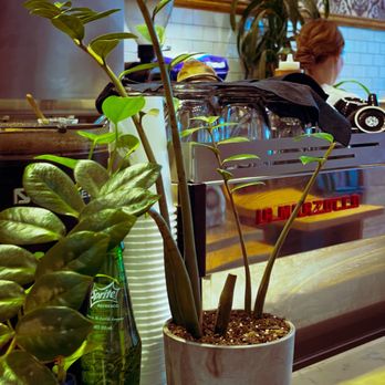 Hala Coffee & Kitchen - Interior. My coffee in progress - Coffee & Tea Near Me - Brooklyn, New York