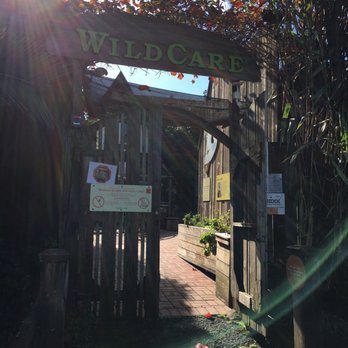 WildCare - Animal Shelters Near Me - San Rafael, California