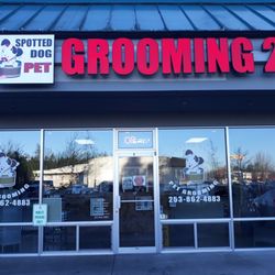 Spotted Dog Pet Grooming 2
