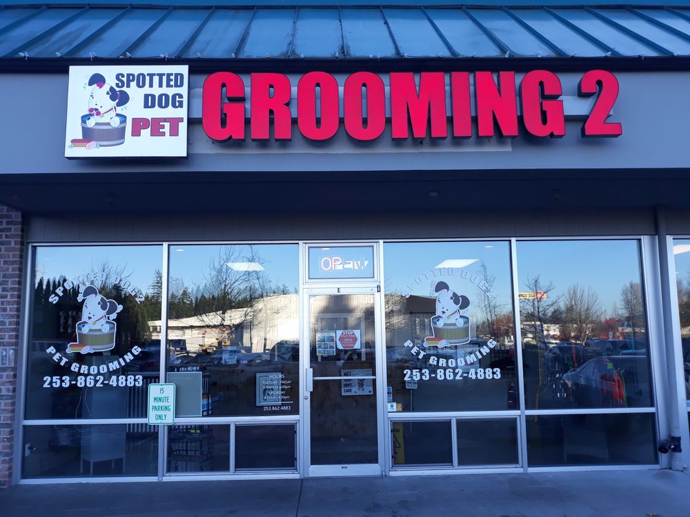SPOTTED DOG PET GROOMING 2 Updated September 2024 12 Reviews 9925