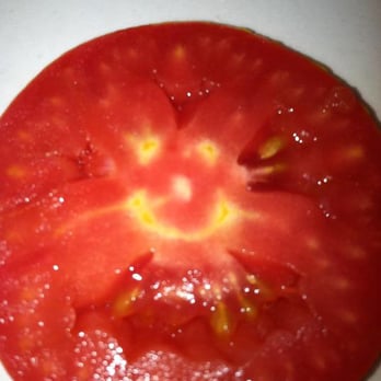 Sandy's Cafe - The last slice of tomato that was served with my chicken-fried steak and eggs this momorning revealed this happy fellow. Omen? - Cafes Near Me - Gilroy, California Sandy's Cafe - The last slice of tomato that was served with my chicken-fried steak and eggs this momorning revealed this happy fellow. Omen? - Cafes Near Me - Gilroy, California