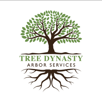 Tree Dynasty Arbor Services - Tree Services Near Me Tree Dynasty Arbor Services - Tree Services Near Me