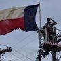 Photo of Texas Tree Trimming