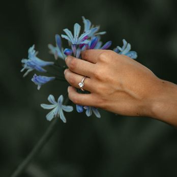 JD Photography - Session Photography Near Me - Fort Worth, Texas