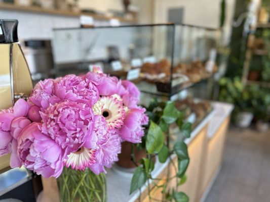 Magdalena Coffee & Houseplants by null