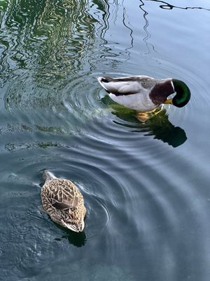 Laguna Lake Park by null