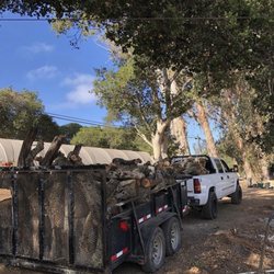 B&G Firewood - Tree removal
