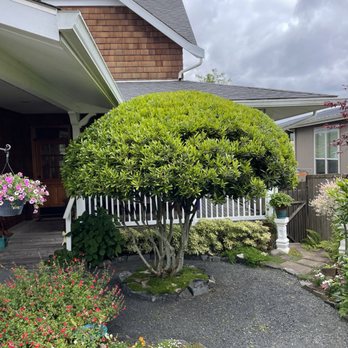 Lasting Affordable Lawn Care - Hedge - Lawn Services Near Me Lasting Affordable Lawn Care - Hedge - Lawn Services Near Me