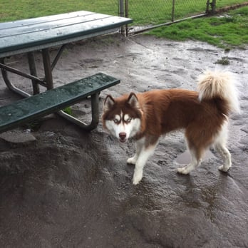 Palisades Park - He likes playing in the mud - Parks Near Me - Daly City, California Palisades Park - He likes playing in the mud - Parks Near Me - Daly City, California