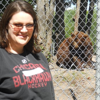 Oswald's Bear Ranch - That guy is a lot bigger than this photo leads you to believe! - Zoos Near Me - Newberry, Michigan