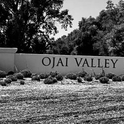 Ojai Valley Inn - Entrance 4/1/24