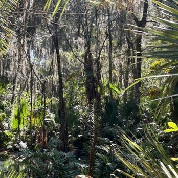 Green Springs Park - Fauna at Green Springs - Hiking Near Me - Deltona, Florida