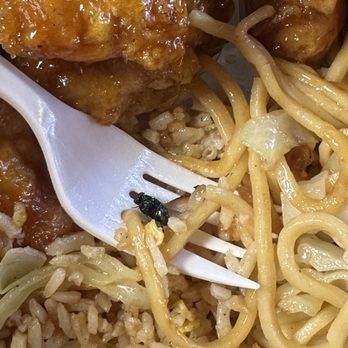 Asian Wok Chinese Restaurant - Chinese Near Me - Hayward, California Asian Wok Chinese Restaurant - Chinese Near Me - Hayward, California