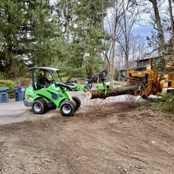 New Leaf Tree Services - Tree Services Near Me - Hudson, New York New Leaf Tree Services - Tree Services Near Me - Hudson, New York