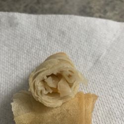 China Dragon 2 - Spring Roll