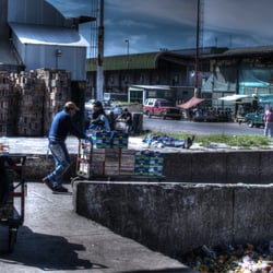 Mercado Central de Buenos Aires