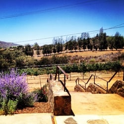 Vineyard Grant James