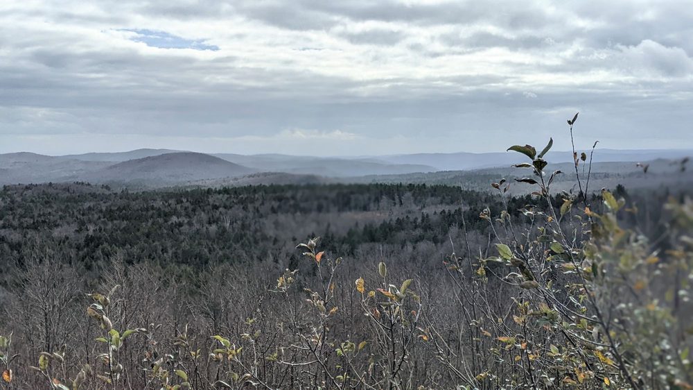 HOGBACK MOUNTAIN GIFT SHOP 62 Photos & 32 Reviews 7627 Rt 9