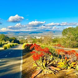 Shady Canyon Trail - #YelpElite #Yelp #hike