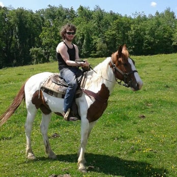 Rolling Hills Ranch - Petey - Horseback Riding Near Me - Bridgeville, Pennsylvania Rolling Hills Ranch - Petey - Horseback Riding Near Me - Bridgeville, Pennsylvania