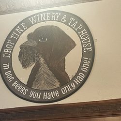 Drop Tine Winery and Tap House