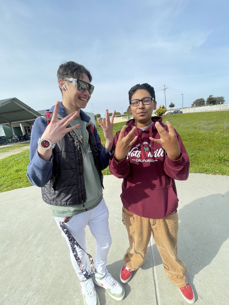 PAJARO VALLEY HIGH SCHOOL Updated April 2025 20 Photos 500