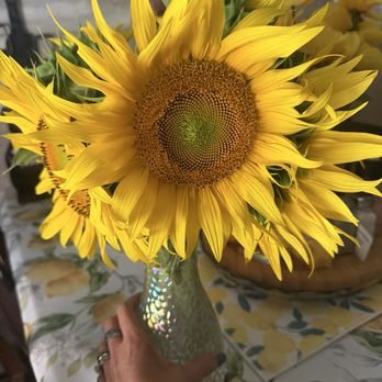Heisler Cloverleaf Dairy - Complimentary sunflowers! - Ice Cream & Frozen Yogurt Near Me - Tamaqua, Pennsylvania