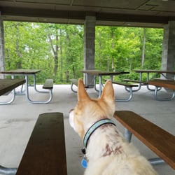 The City Of Crescent Springs - Dog friendly