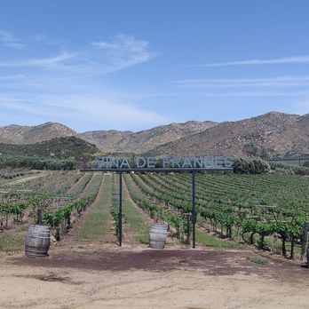 Viña de Frannes - View from winery - Wineries Near Me - Ensenada, BCN Viña de Frannes - View from winery - Wineries Near Me - Ensenada, BCN