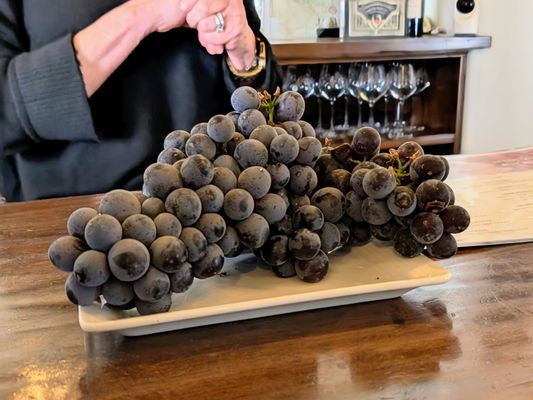 Jamie Slone Wines by null