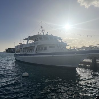 Prince Kuhio Tours - Boat Tours Near Me - Honolulu, Hawaii Prince Kuhio Tours - Boat Tours Near Me - Honolulu, Hawaii