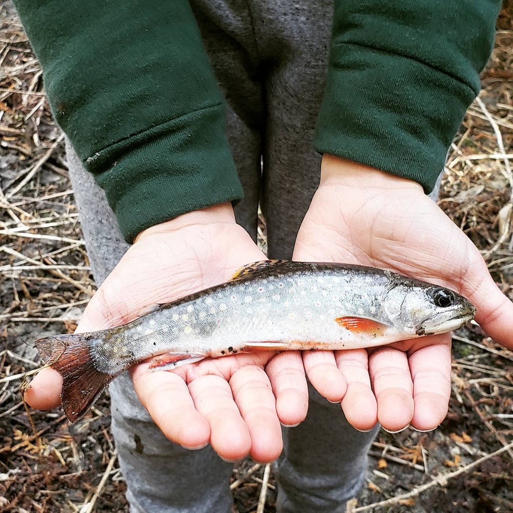 POSIEDEN ADVENTURES Updated September 2024 Request a Quote 18