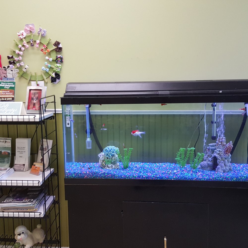 Dirty Dog - Pet Groomers Near Me - Bolingbrook, Illinois Dirty Dog - Pet Groomers Near Me - Bolingbrook, Illinois
