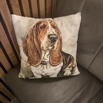 Georges - George the dog - Desserts Near Me - Kincardine, Ontario