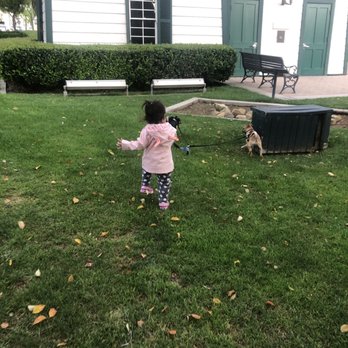 spcaLA - Pet Training Near Me - Long Beach, California spcaLA - Pet Training Near Me - Long Beach, California