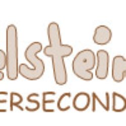 Ziegelsteinchen Kinder Second Hand