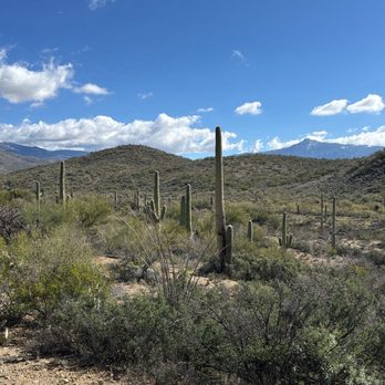 Saguaro Stables - Horseback Riding Near Me - Tucson, Arizona Saguaro Stables - Horseback Riding Near Me - Tucson, Arizona