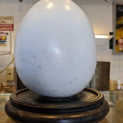 A A Lab Eggs