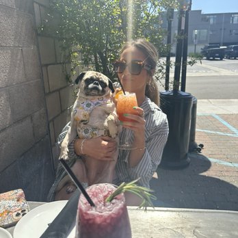 ARC Butcher & Baker - Berry and orange spritz - New American Near Me - Newport Beach, California ARC Butcher & Baker - Berry and orange spritz - New American Near Me - Newport Beach, California