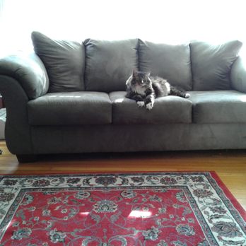 VCA Capital Area Veterinary Emergency and Specialty - Buddy relaxing - Emergency Pet Hospital Near Me - Concord, New Hampshire VCA Capital Area Veterinary Emergency and Specialty - Buddy relaxing - Emergency Pet Hospital Near Me - Concord, New Hampshire