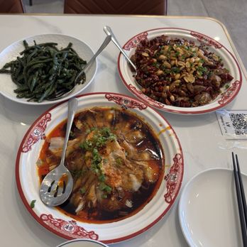 QJ Kitchen - Dry-fried Green Beans Stir-Fried Chicken with Dried Chili Sliced Pork with Garlic Sauce - Szechuan Near Me - Lake Forest, California QJ Kitchen - Dry-fried Green Beans Stir-Fried Chicken with Dried Chili Sliced Pork with Garlic Sauce - Szechuan Near Me - Lake Forest, California