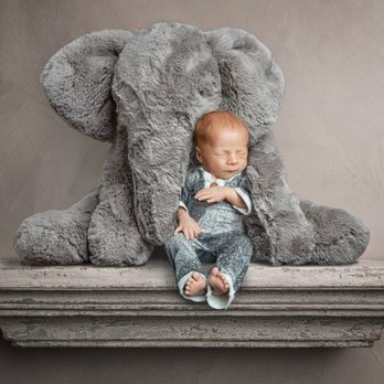 Firefly Nights Photography - Newborn - custom - Session Photography Near Me - Naperville, Illinois