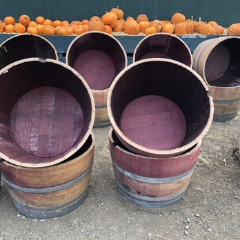 Larry's Produce - Grow your veggies in beautiful wine barrels. Even small trees and succulents work well in these!! - Fruits & Veggies Near Me - Fairfield, California Larry's Produce - Grow your veggies in beautiful wine barrels. Even small trees and succulents work well in these!! - Fruits & Veggies Near Me - Fairfield, California