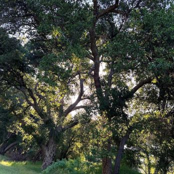 Whitney Canyon Park - Parks Near Me - Newhall, California Whitney Canyon Park - Parks Near Me - Newhall, California
