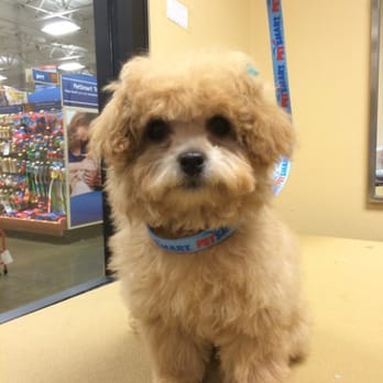PetSmart - Pet Stores Near Me - San Leandro, California