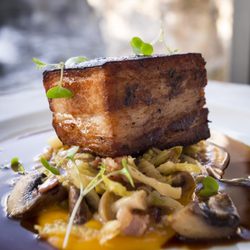 Penstock Lounge - GLAZED THATCHER FARMS PORK BELLY braised cabbage, roasted squash purée, wild mushrooms