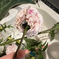 Sequoia Floral International