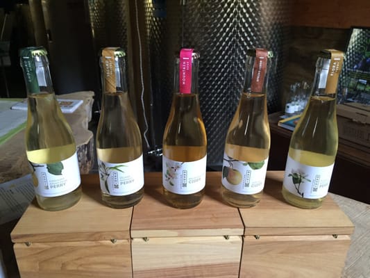Nashi Orchards Tasting Room by null